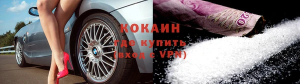 мдпв Бородино