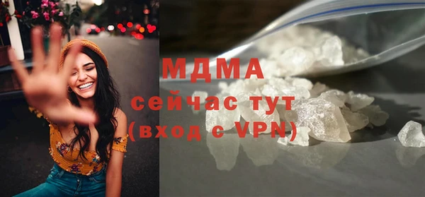 мдпв Бородино