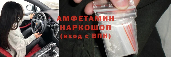 мдпв Бородино