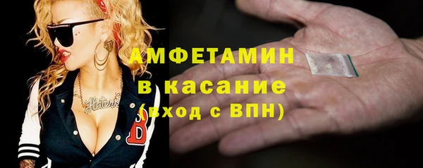 мдпв Бородино
