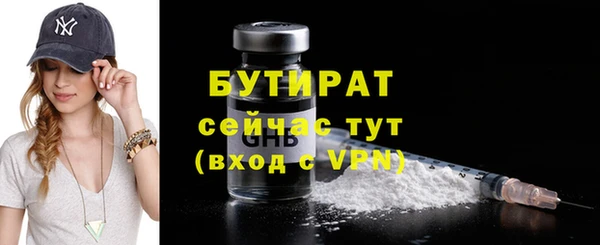 мдпв Бородино