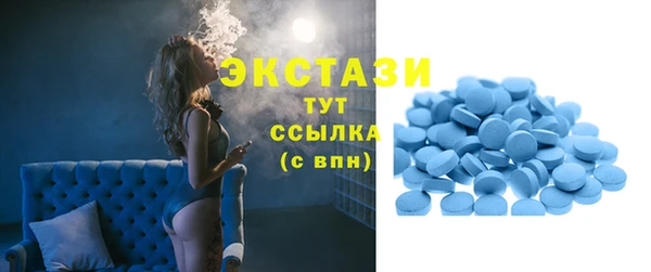 мдпв Бородино