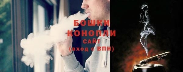 мдпв Бородино