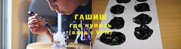 индика Аркадак