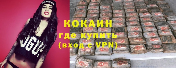 мдпв Бородино