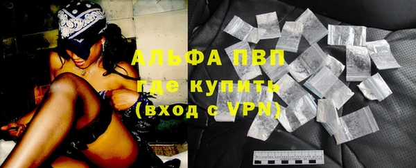 мдпв Бородино