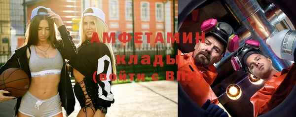мдпв Бородино