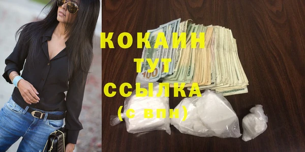 мдпв Бородино