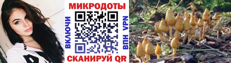 Псилоцибиновые грибы ЛСД  OMG ТОР  Бузулук 