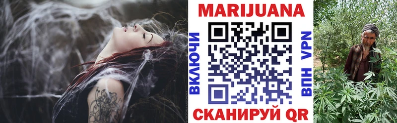 Конопля сатива Бузулук